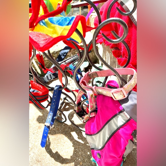 Pet accessories-select 4/$28 with discounted shipping. Build your own package! - Picture 9 of 16